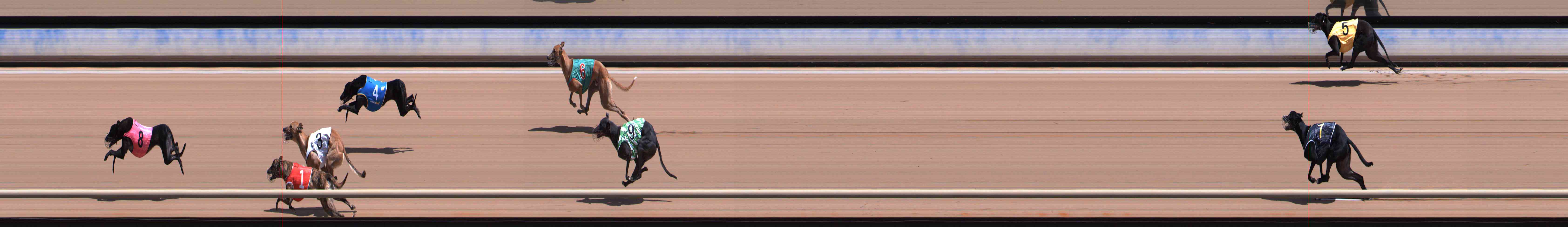 Photo finish for Healesville Race 2