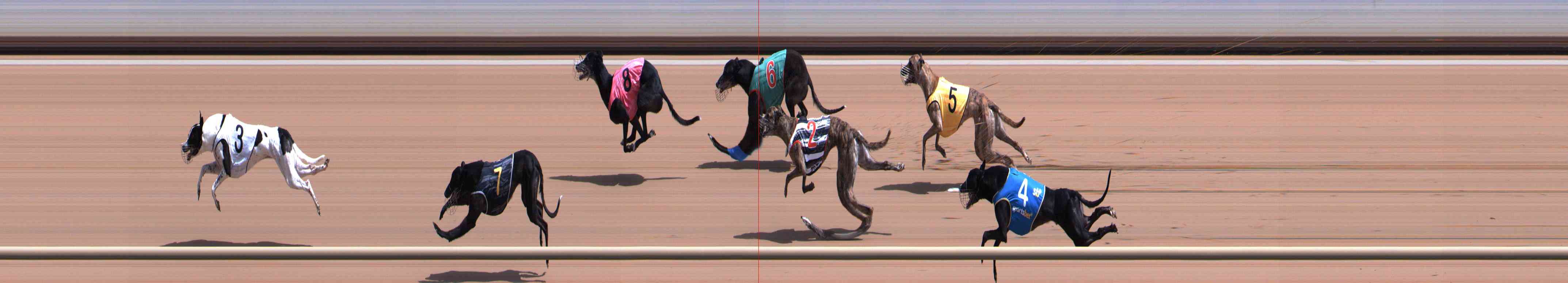 Photo finish for Healesville Race 3