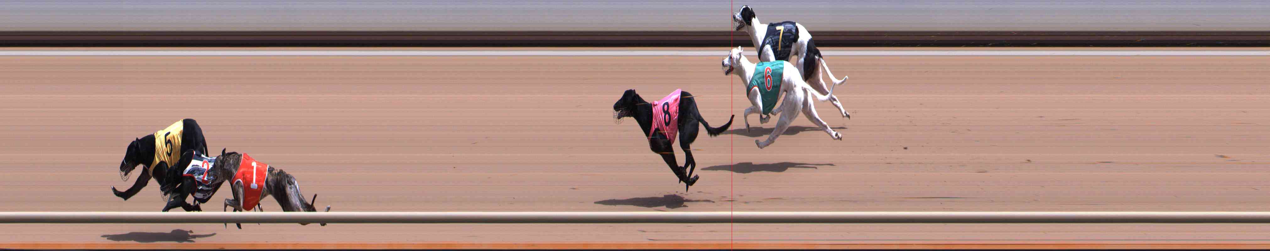 Photo finish for Healesville Race 4
