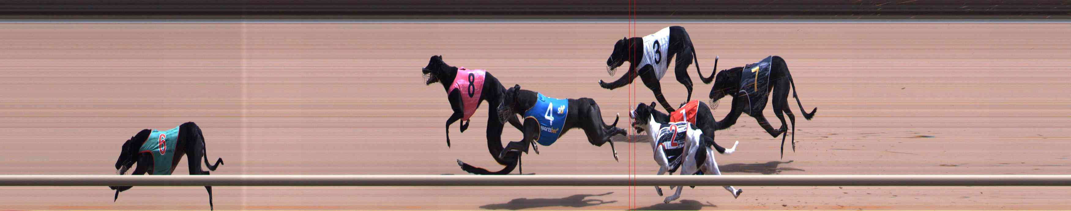 Photo finish for Healesville Race 6