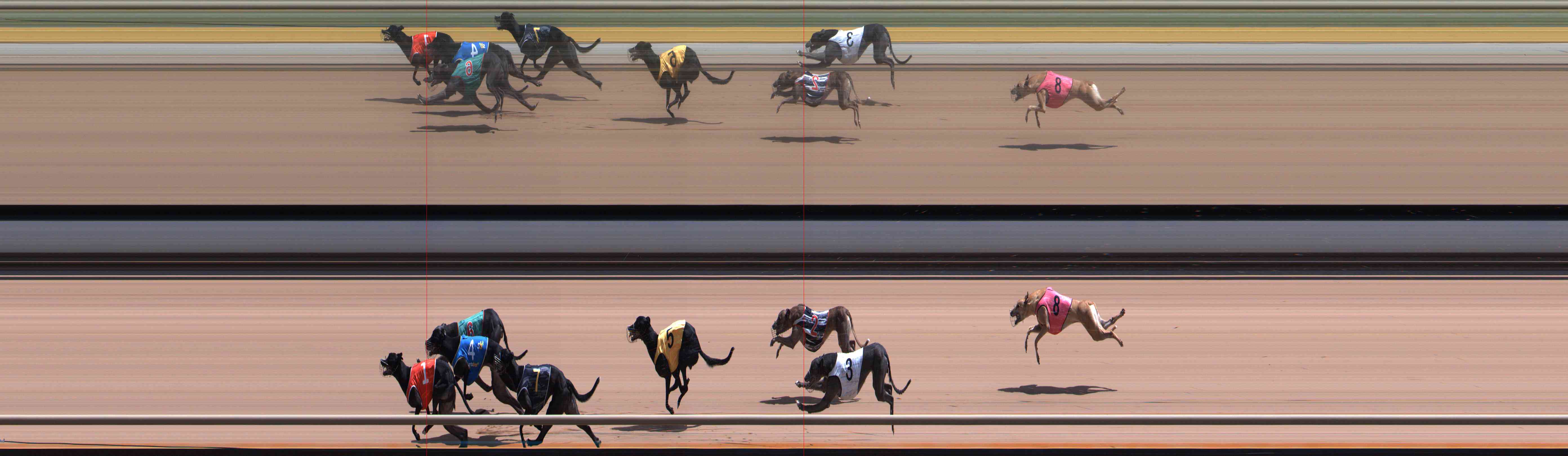 Photo finish for Healesville Race 7