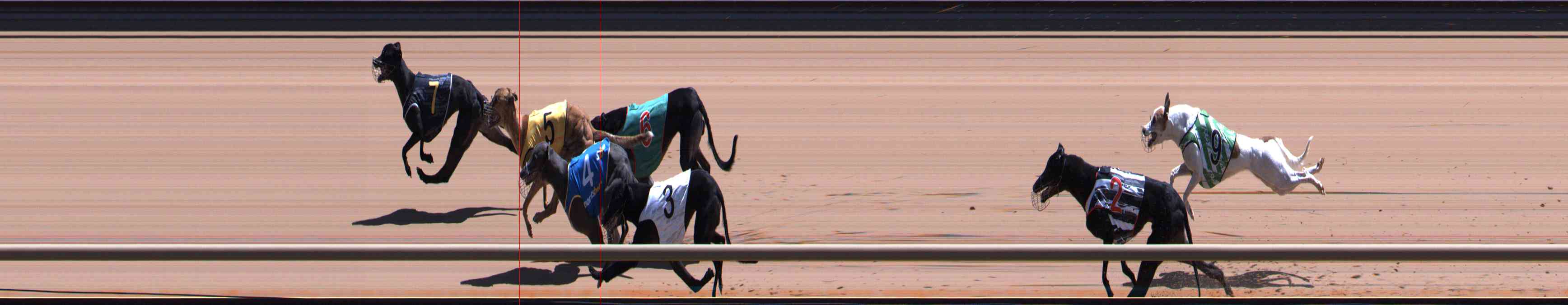 Photo finish for Healesville Race 8