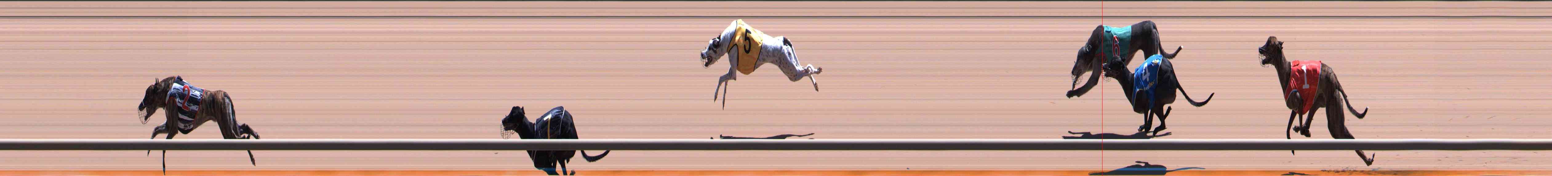 Photo finish for Healesville Race 9