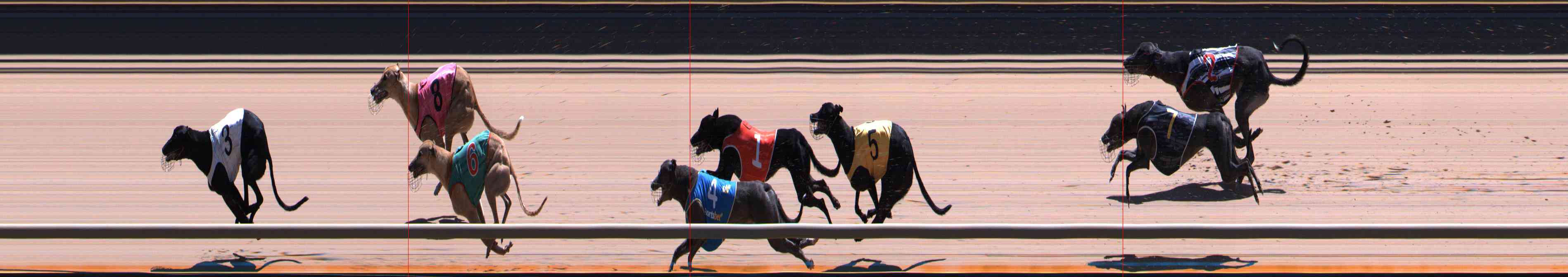 Photo finish for Healesville Race 10