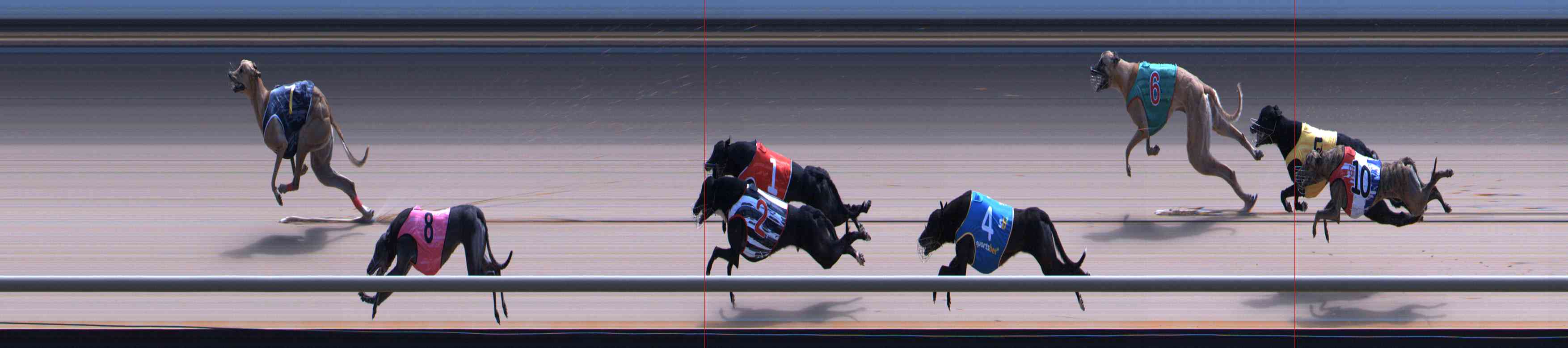 Photo finish for Healesville Race 12