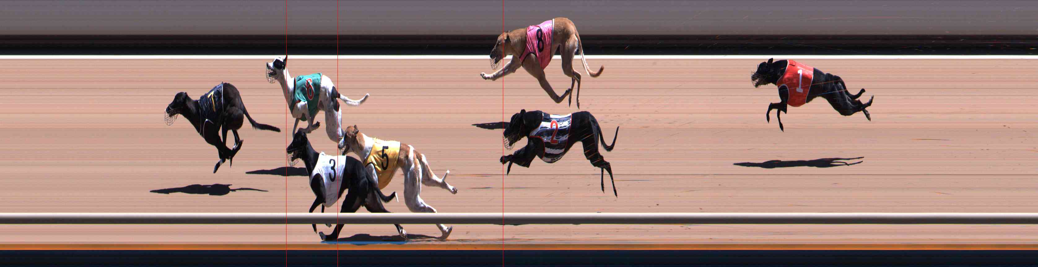 Photo finish for Healesville Race 10