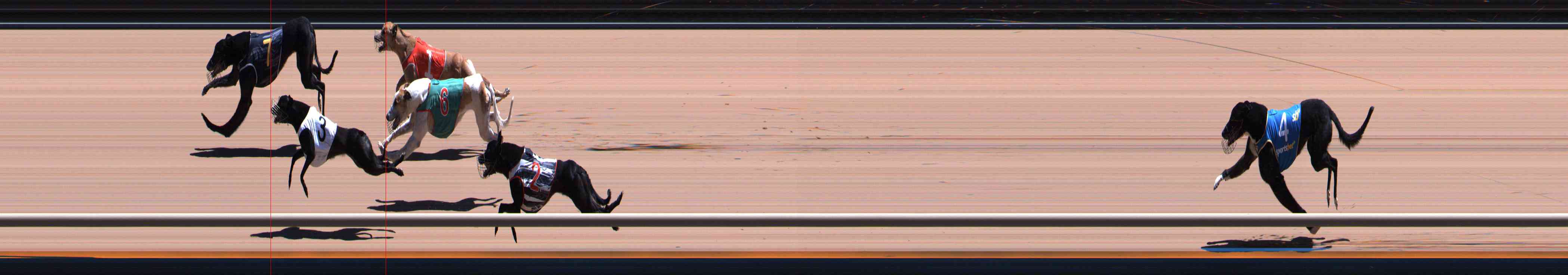 Photo finish for Healesville Race 11