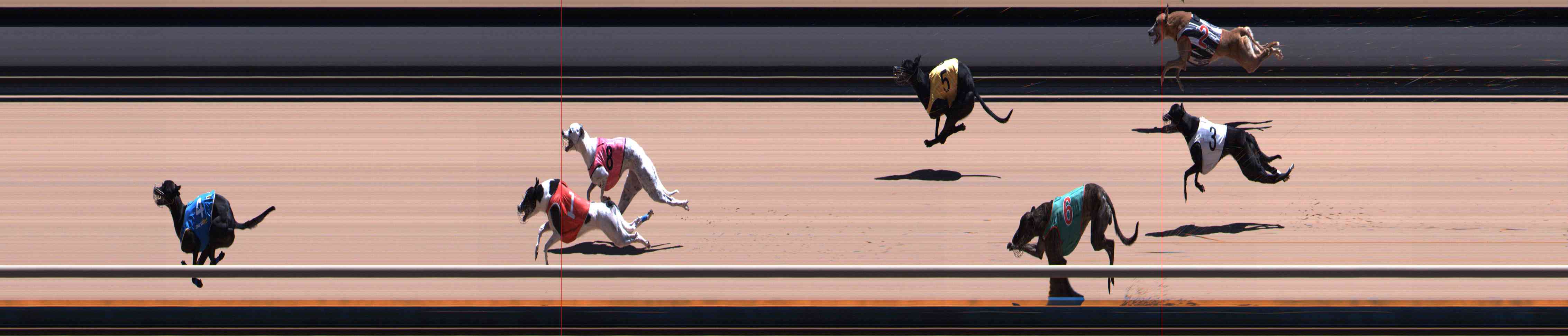 Photo finish for Healesville Race 12