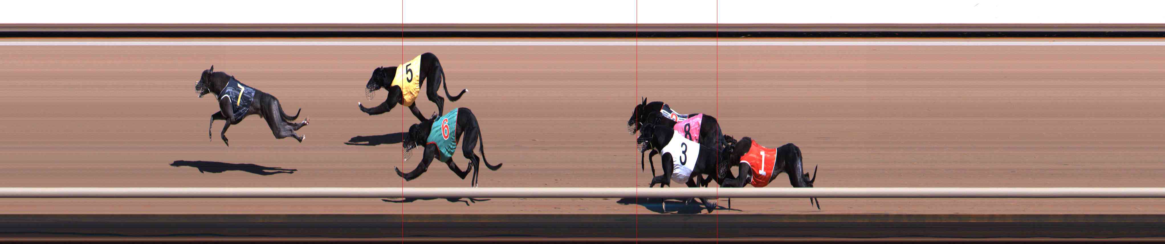 Photo finish for Healesville Race 2