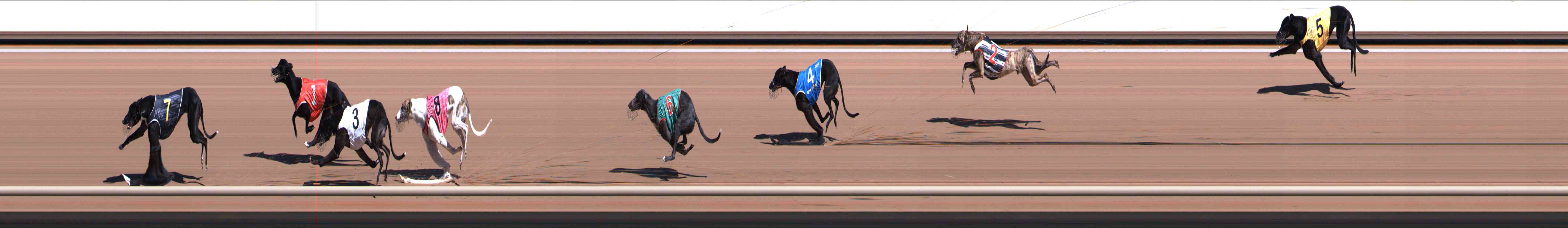 Photo finish for Healesville Race 3