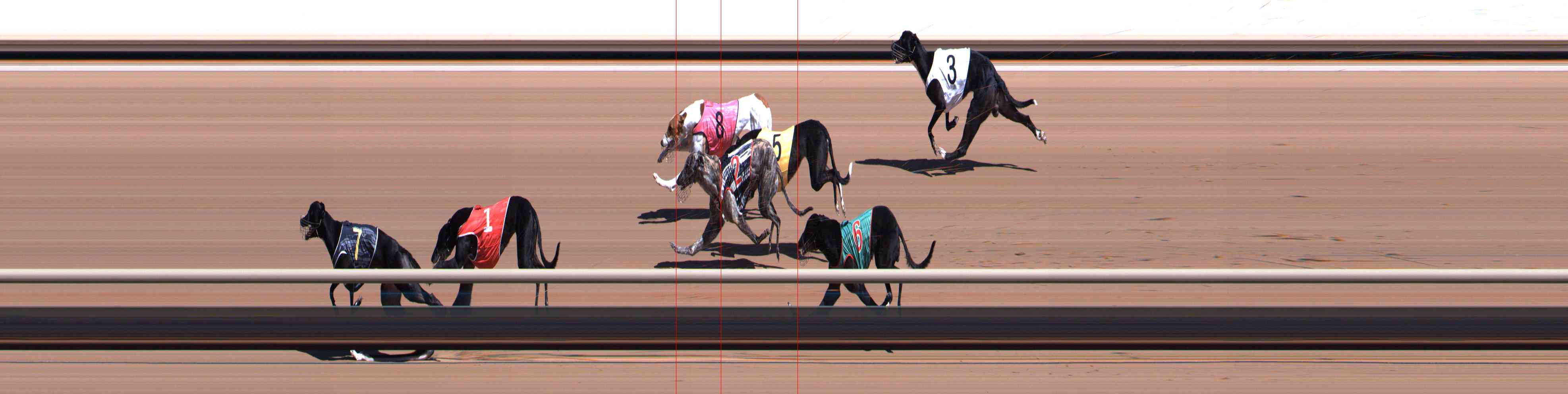Photo finish for Healesville Race 4