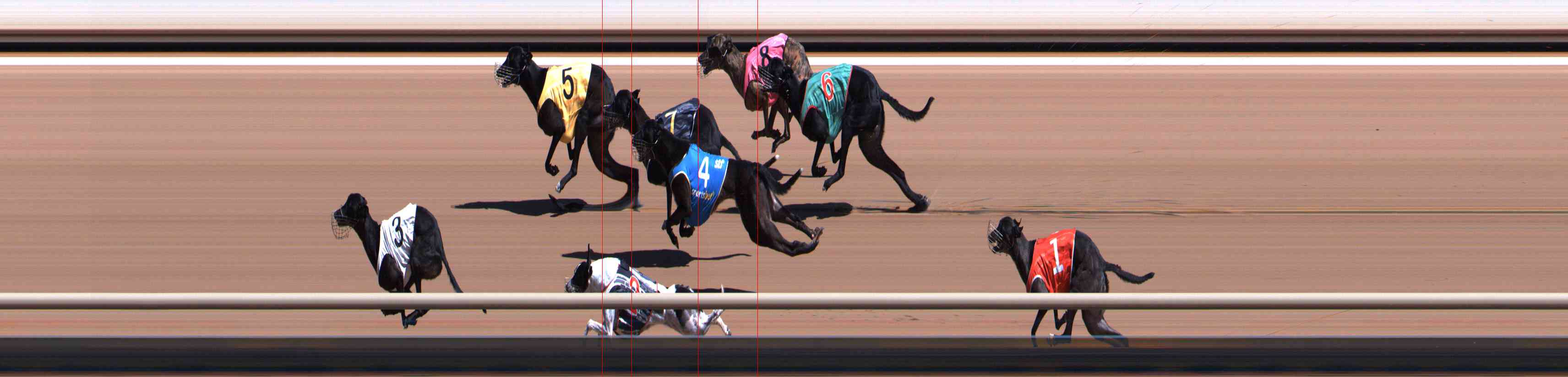 Photo finish for Healesville Race 5