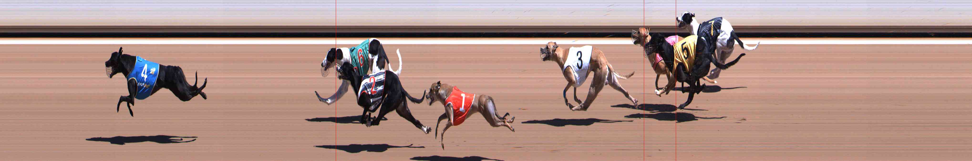 Photo finish for Healesville Race 6