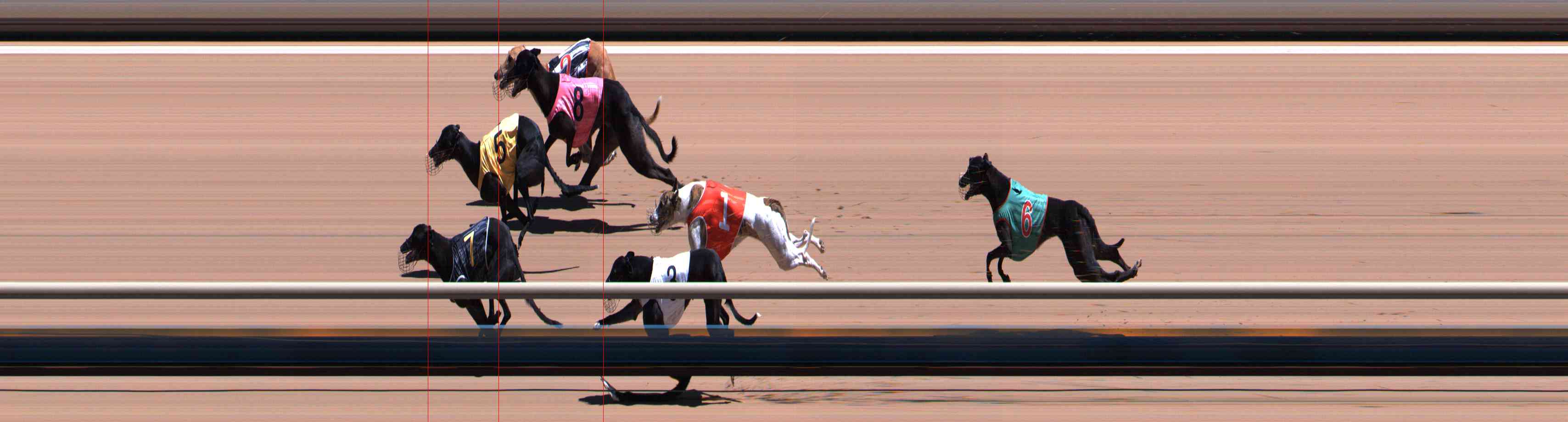 Photo finish for Healesville Race 8