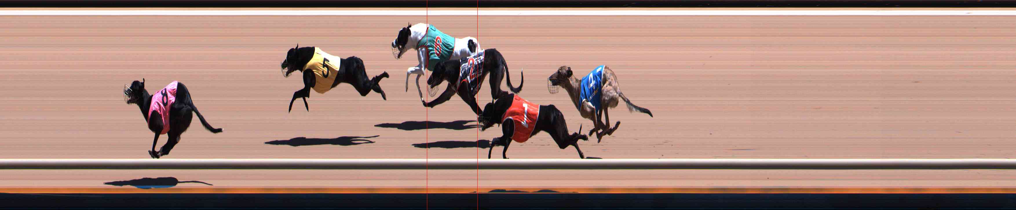 Photo finish for Healesville Race 9