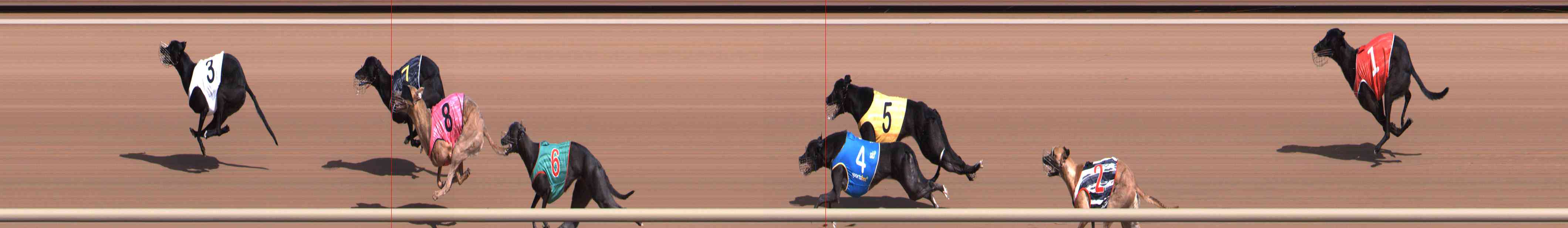 Photo finish for Healesville Race 1