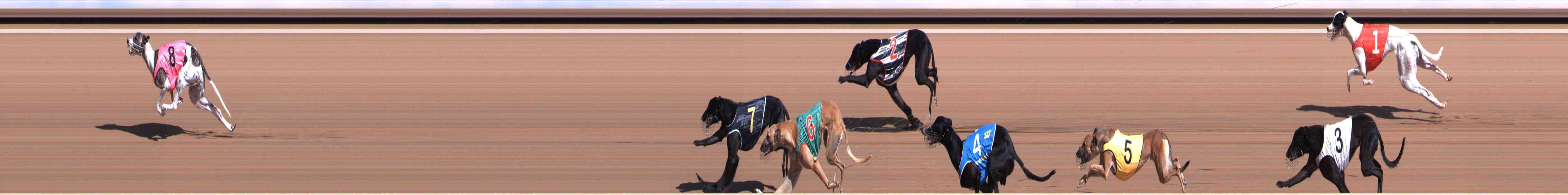 Photo finish for Healesville Race 2