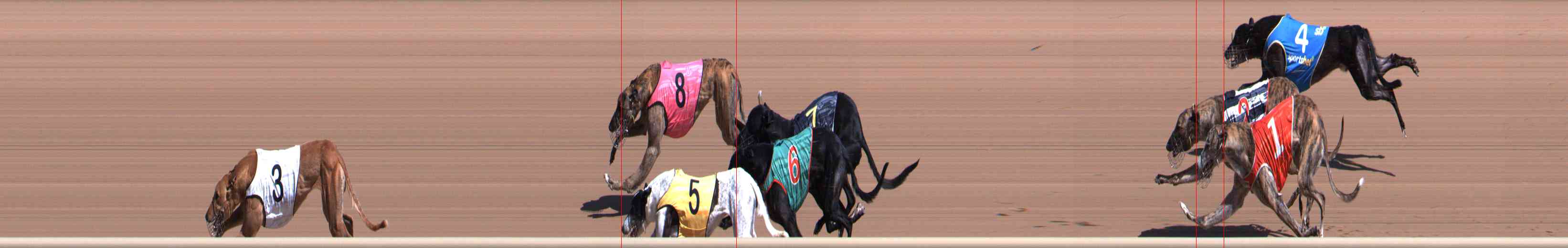 Photo finish for Healesville Race 3