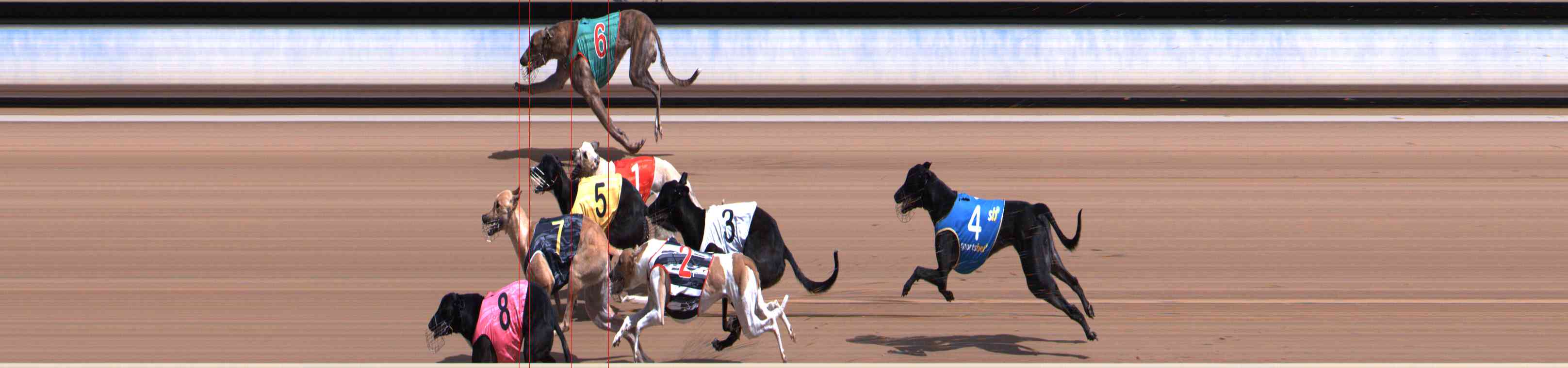 Photo finish for Healesville Race 4