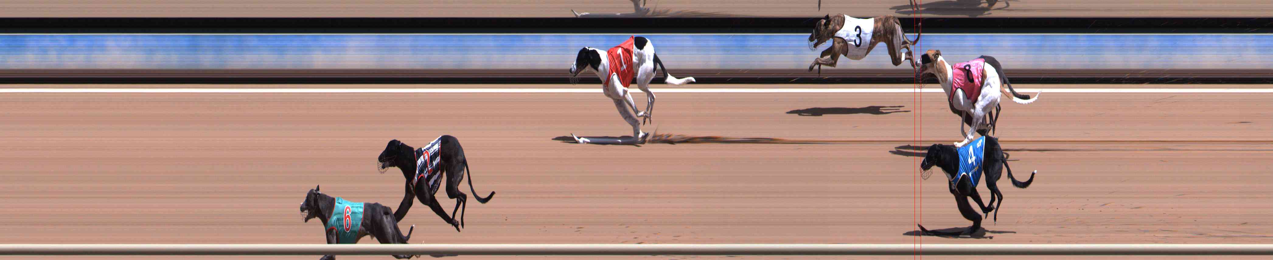 Photo finish for Healesville Race 6