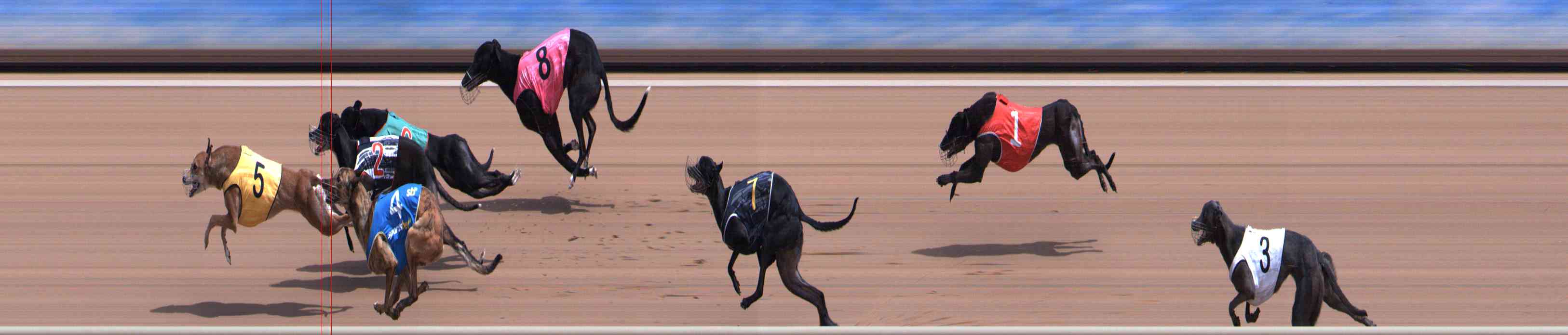 Photo finish for Healesville Race 7