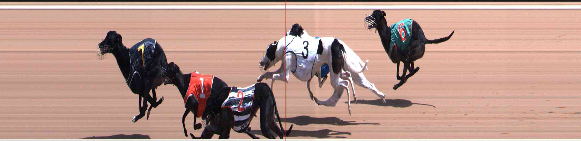 Photo finish for Healesville Race 8