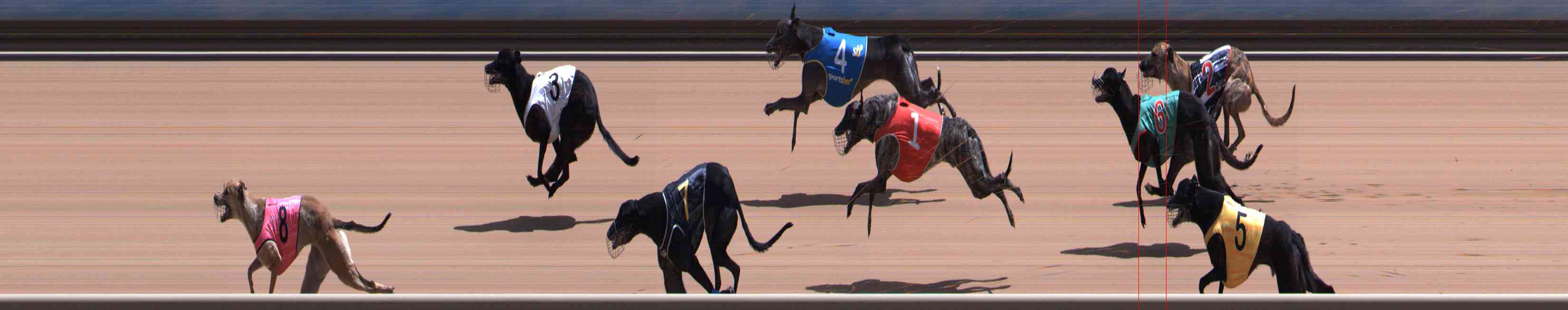 Photo finish for Healesville Race 10