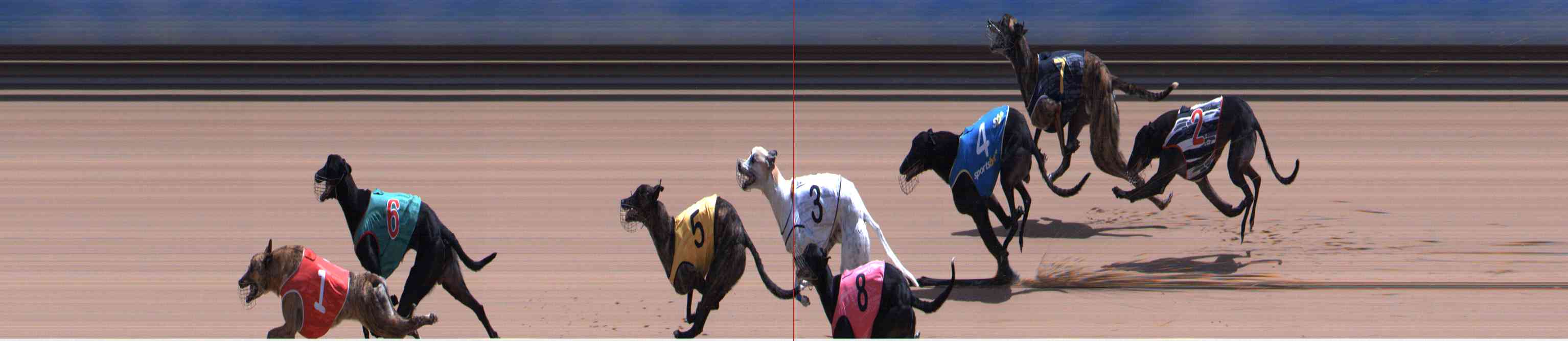 Photo finish for Healesville Race 11