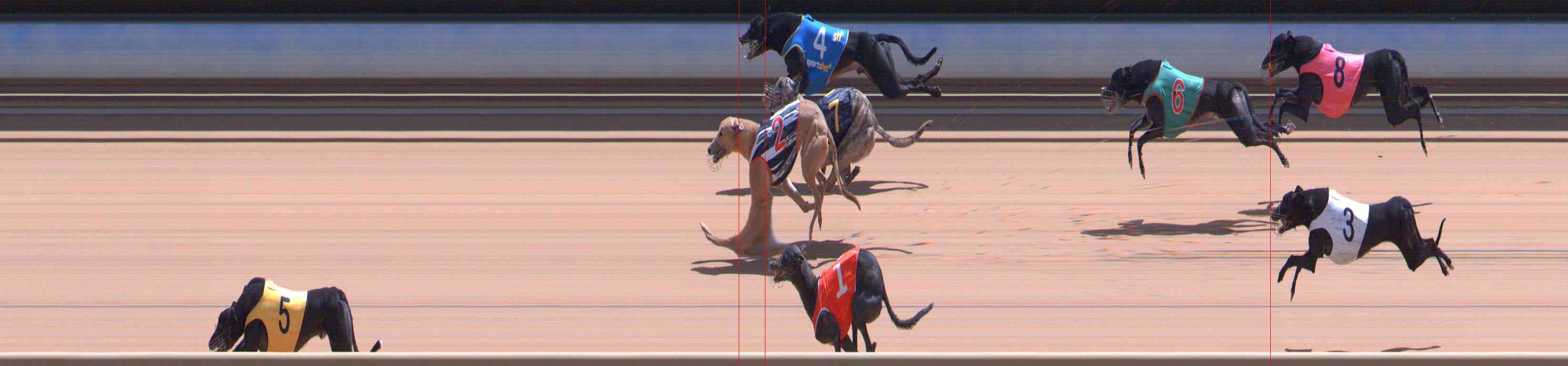 Photo finish for Healesville Race 12