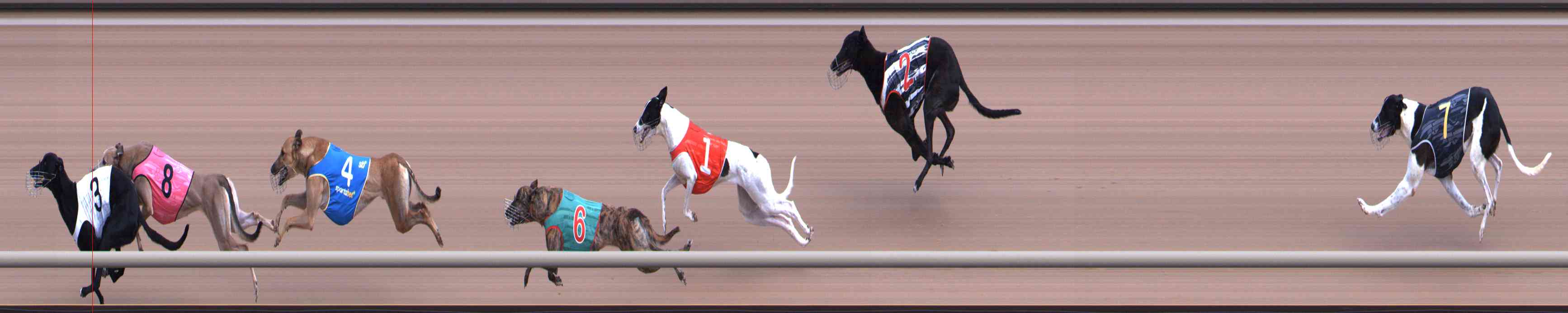 Photo finish for Healesville Race 1