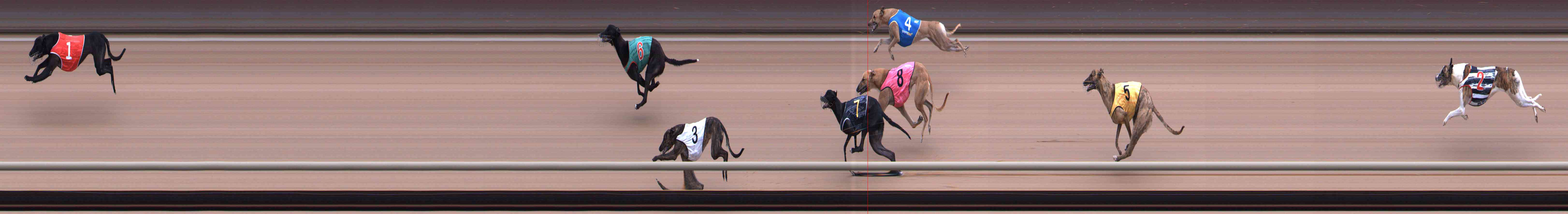 Photo finish for Healesville Race 2