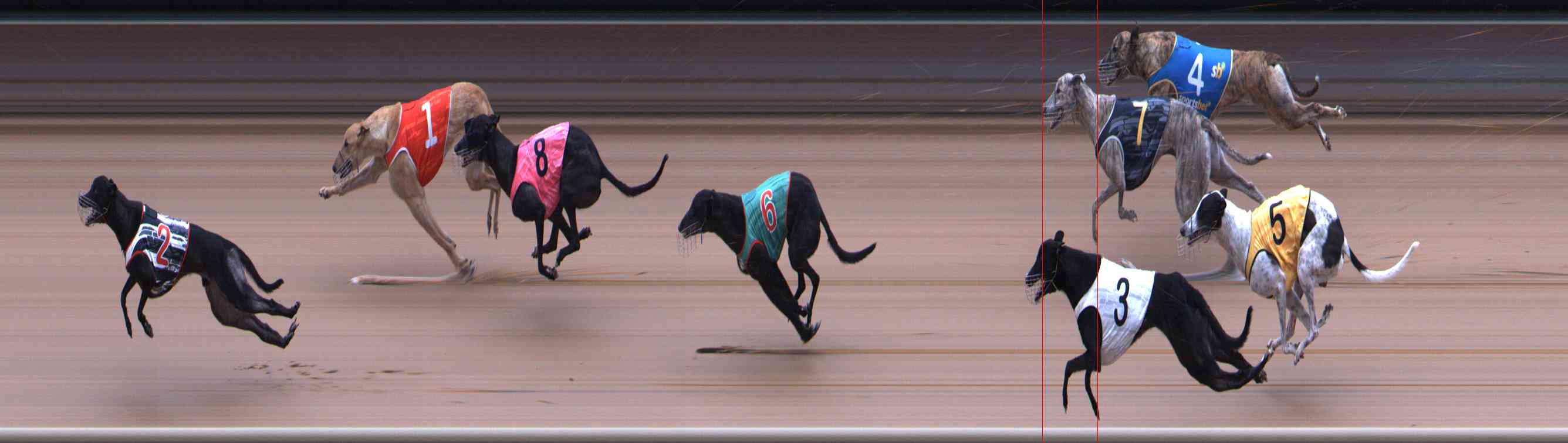Photo finish for Healesville Race 3