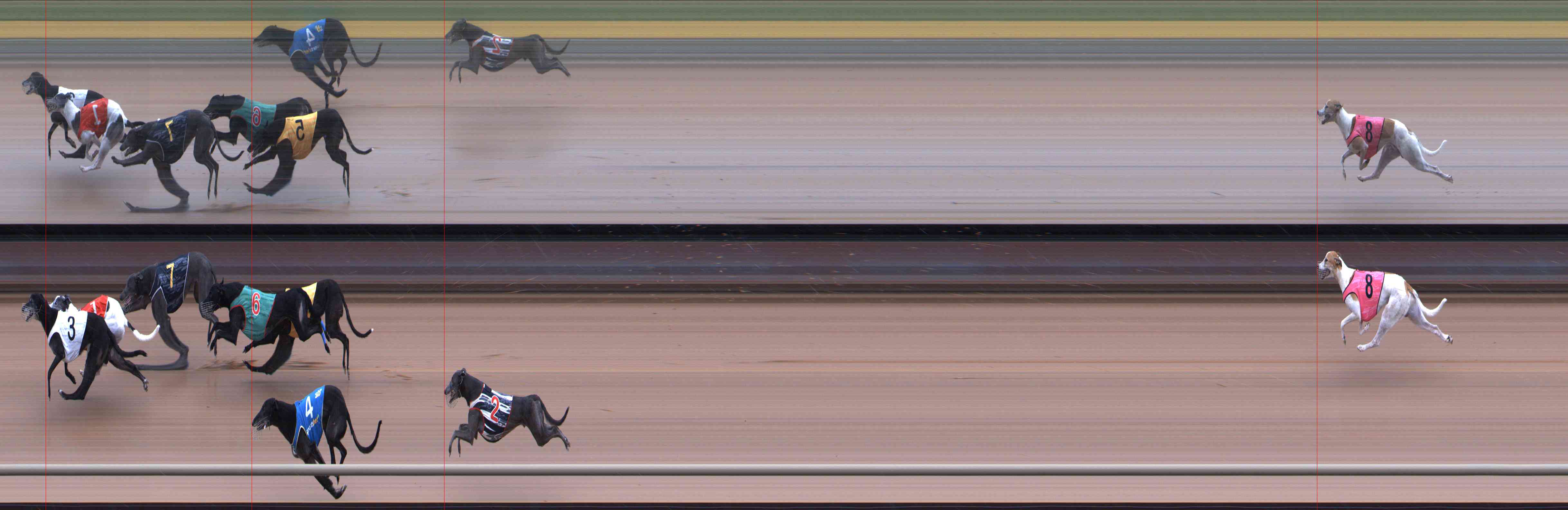 Photo finish for Healesville Race 4