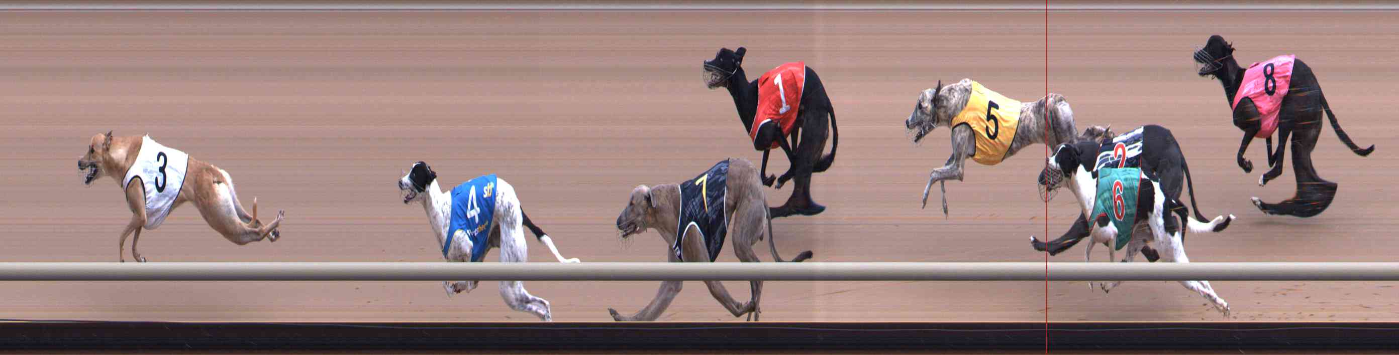 Photo finish for Healesville Race 7