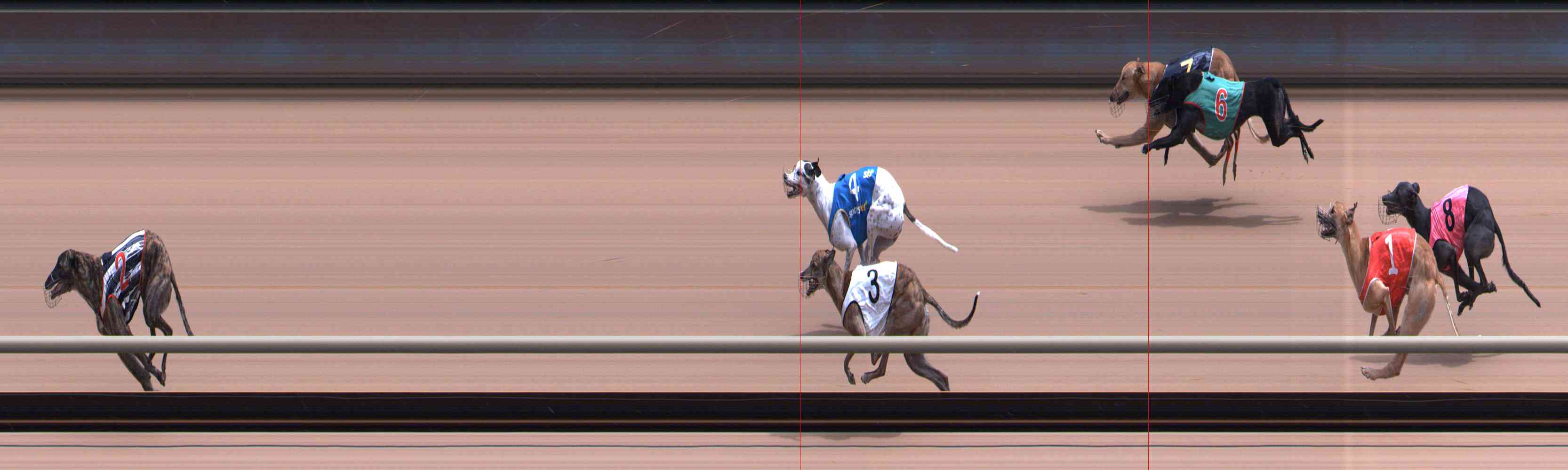 Photo finish for Healesville Race 8