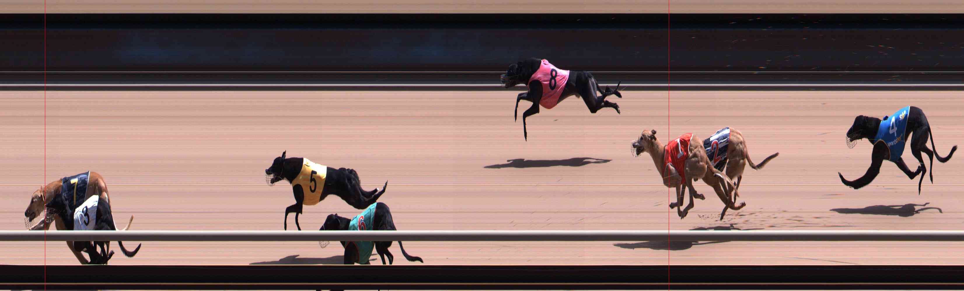 Photo finish for Healesville Race 9