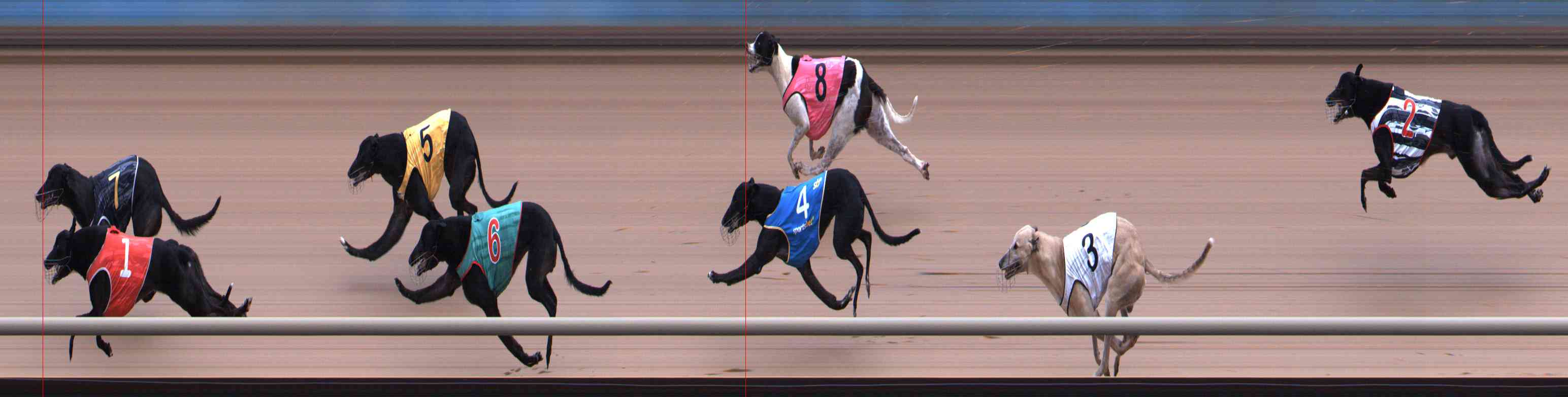 Photo finish for Healesville Race 11