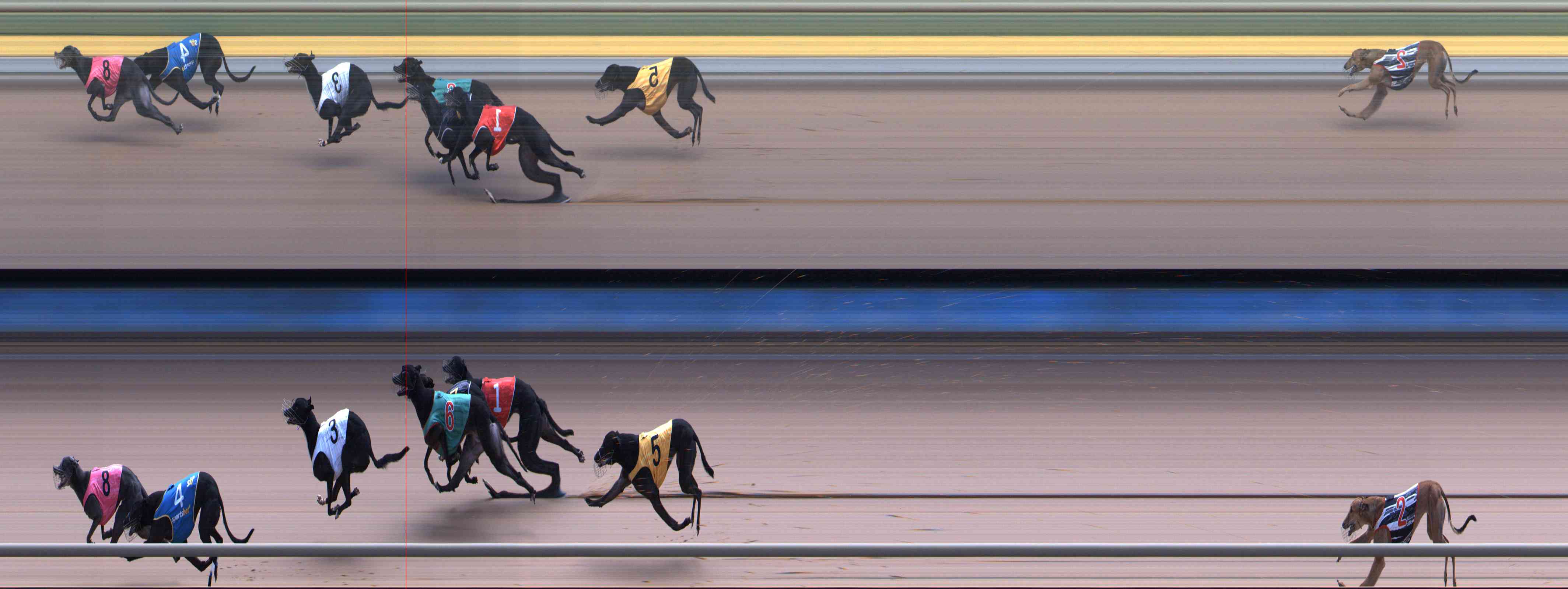 Photo finish for Healesville Race 12