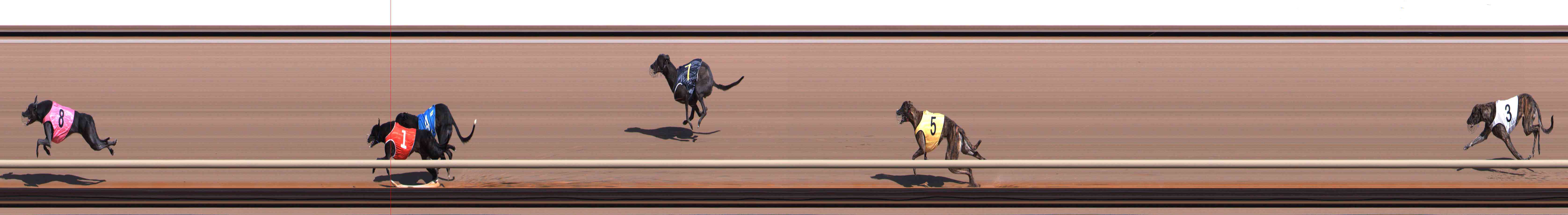 Photo finish for Healesville Race 1