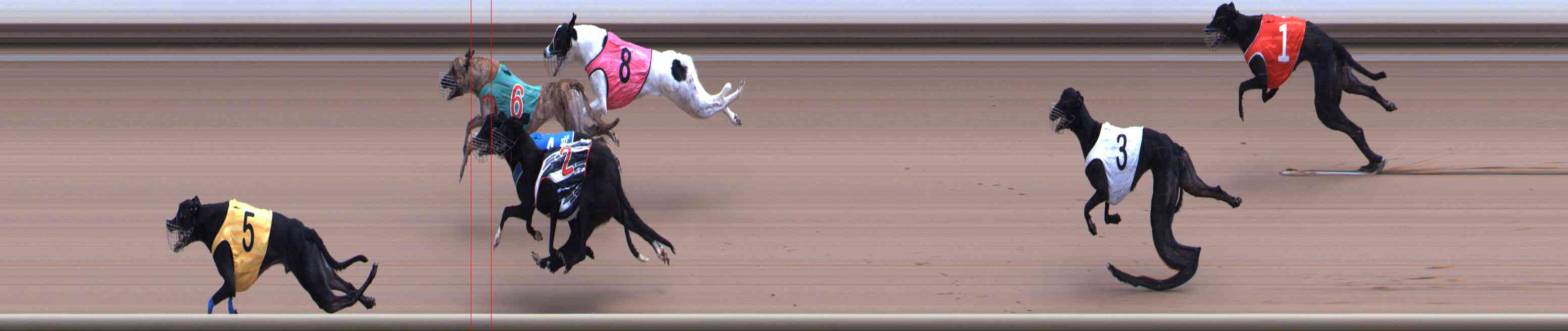 Photo finish for Healesville Race 10
