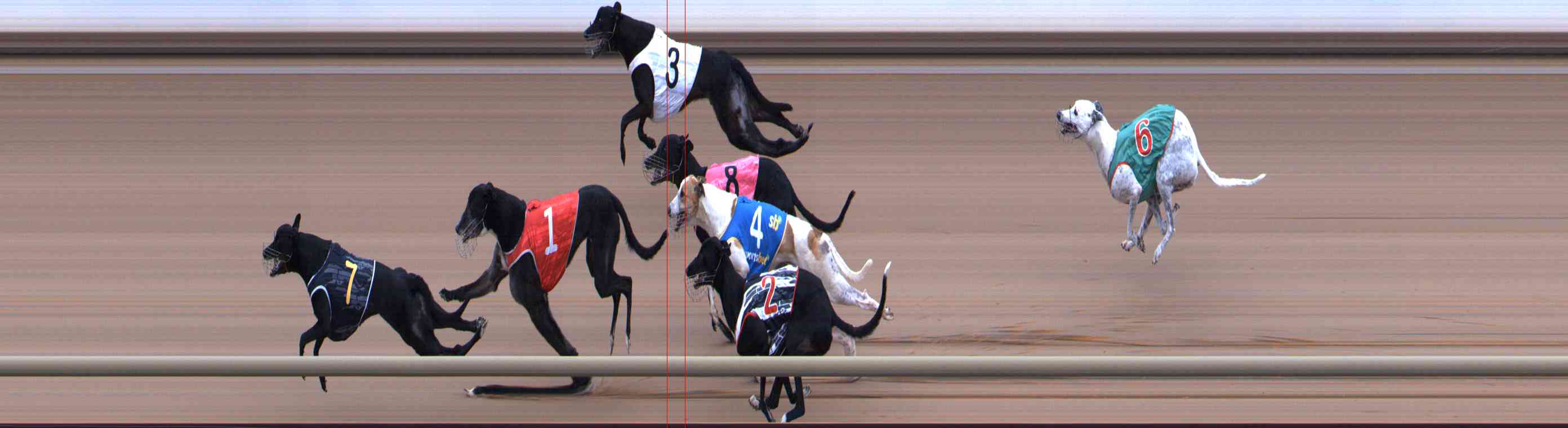 Photo finish for Healesville Race 11