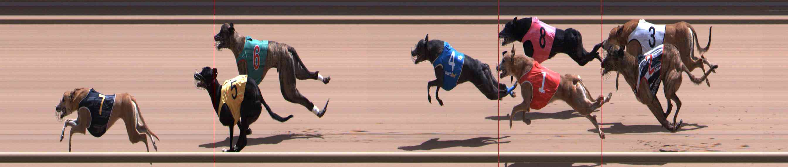Photo finish for Healesville Race 12