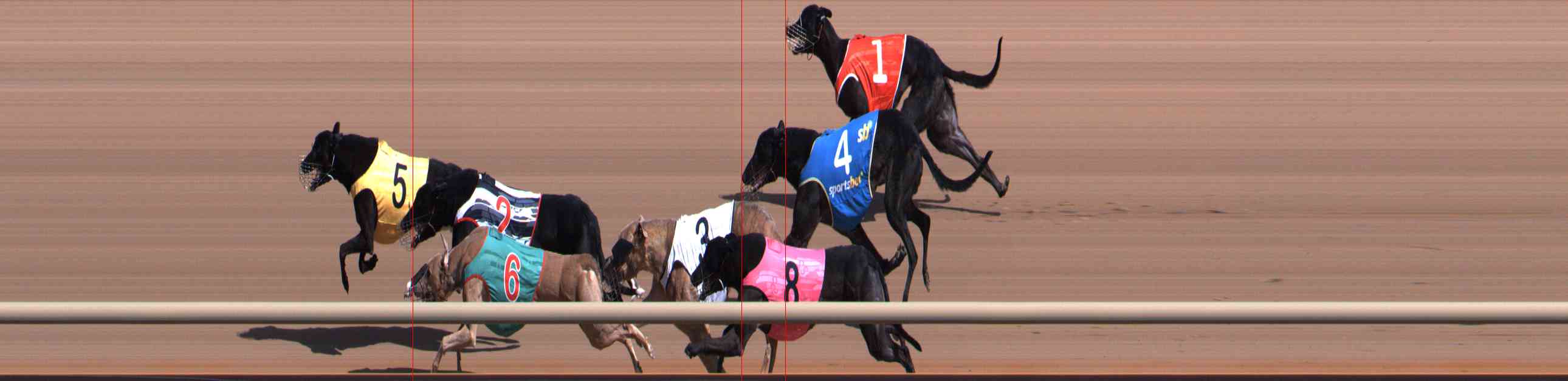 Photo finish for Healesville Race 2