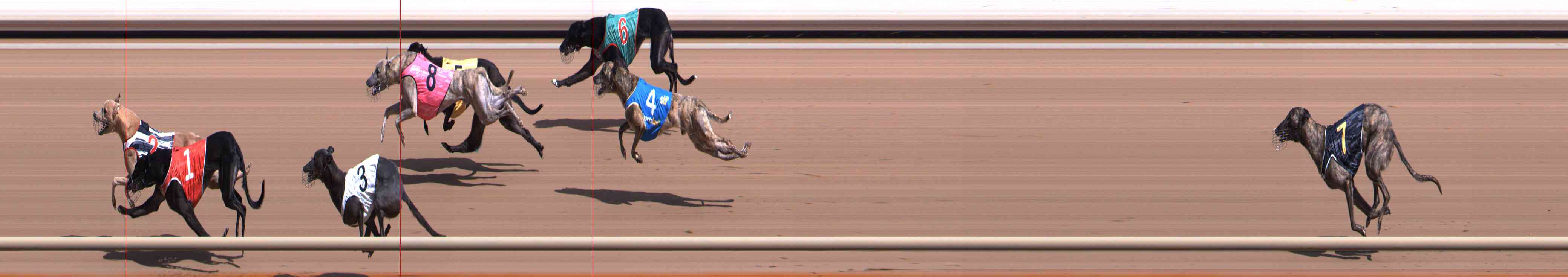 Photo finish for Healesville Race 3