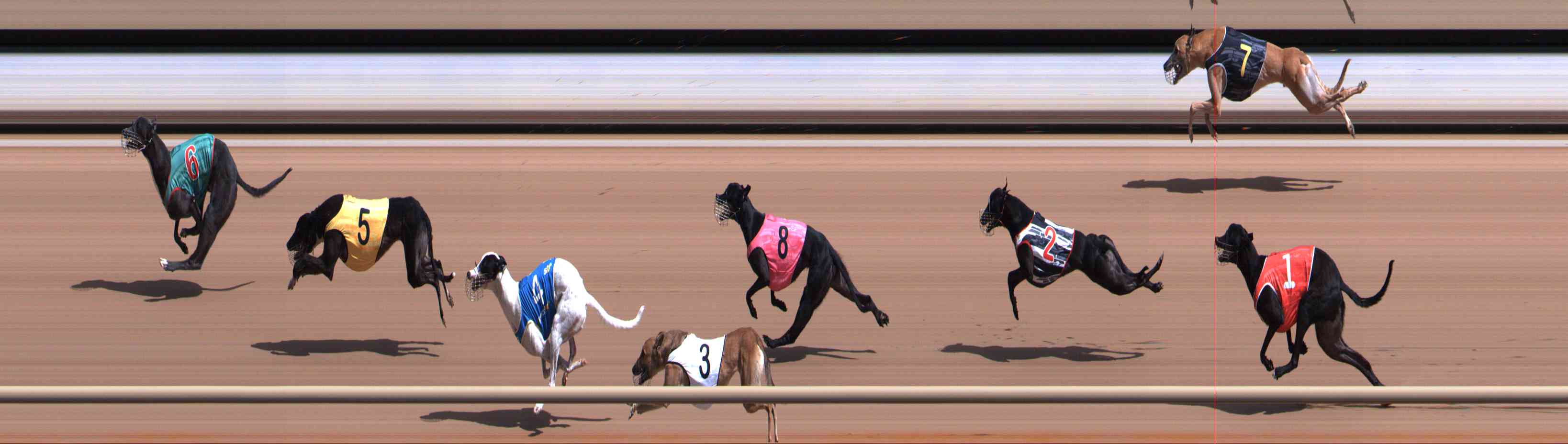 Photo finish for Healesville Race 4