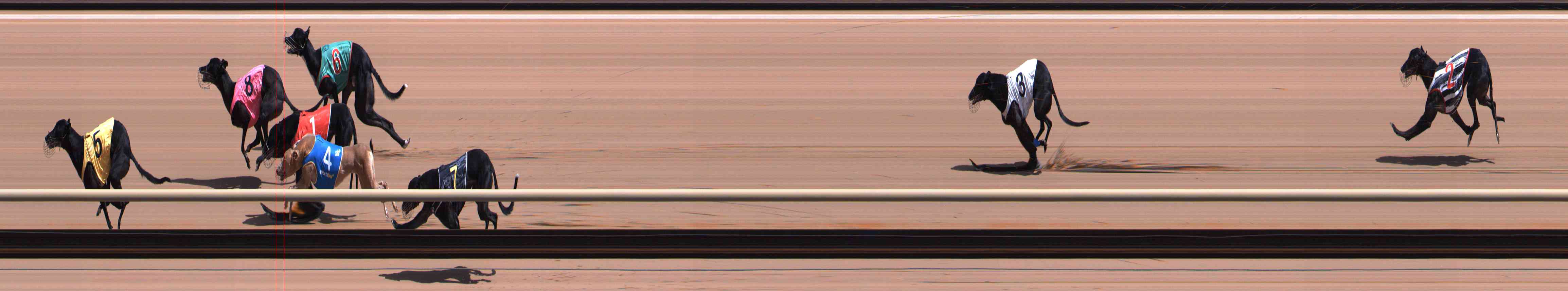 Photo finish for Healesville Race 5