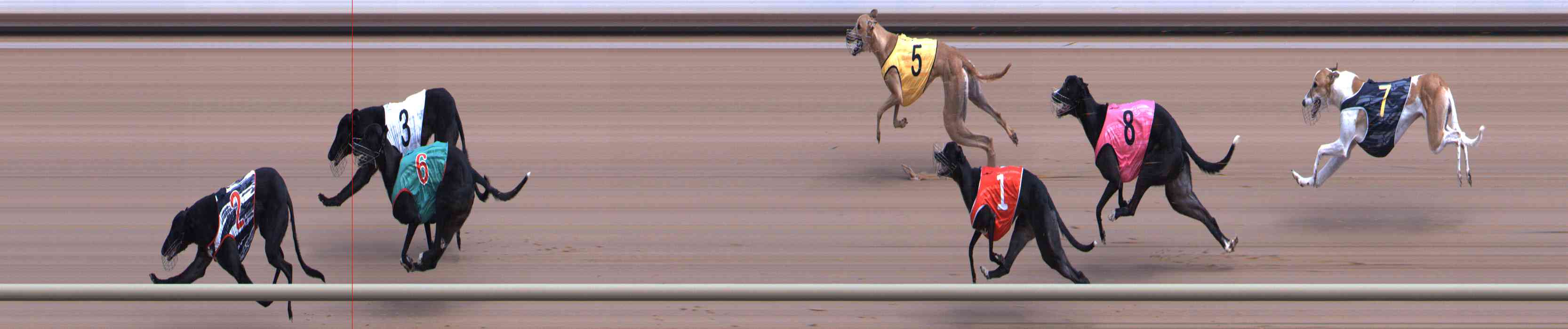 Photo finish for Healesville Race 6