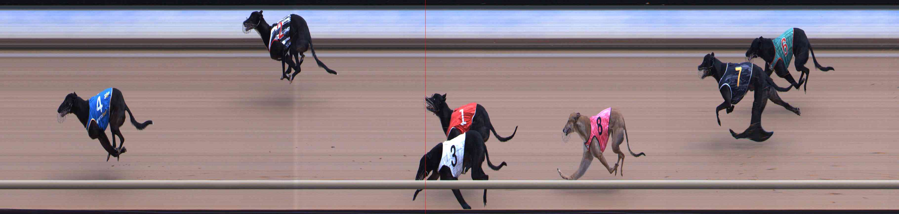 Photo finish for Healesville Race 7