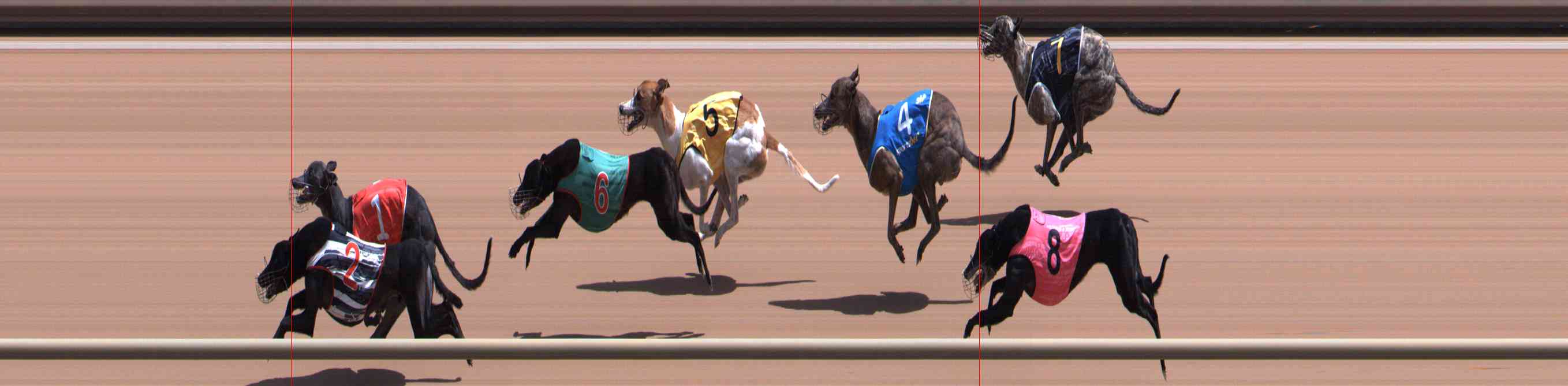 Photo finish for Healesville Race 8