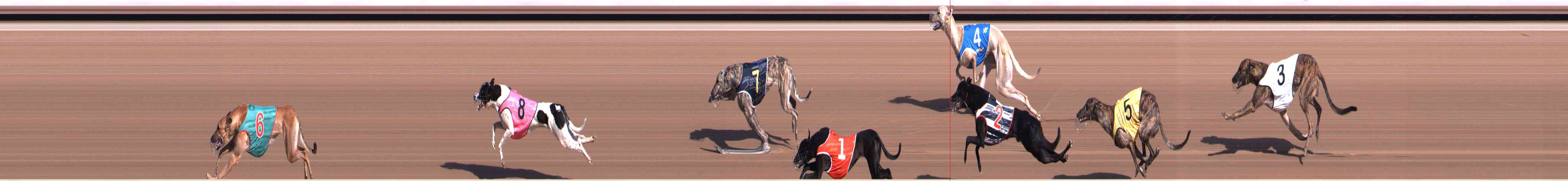 Photo finish for Healesville Race 1